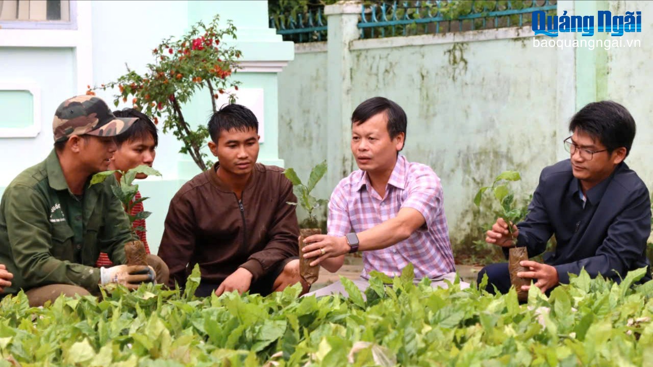 Hỗ trợ đồng bào dân tộc thiểu số phát triển kinh tế