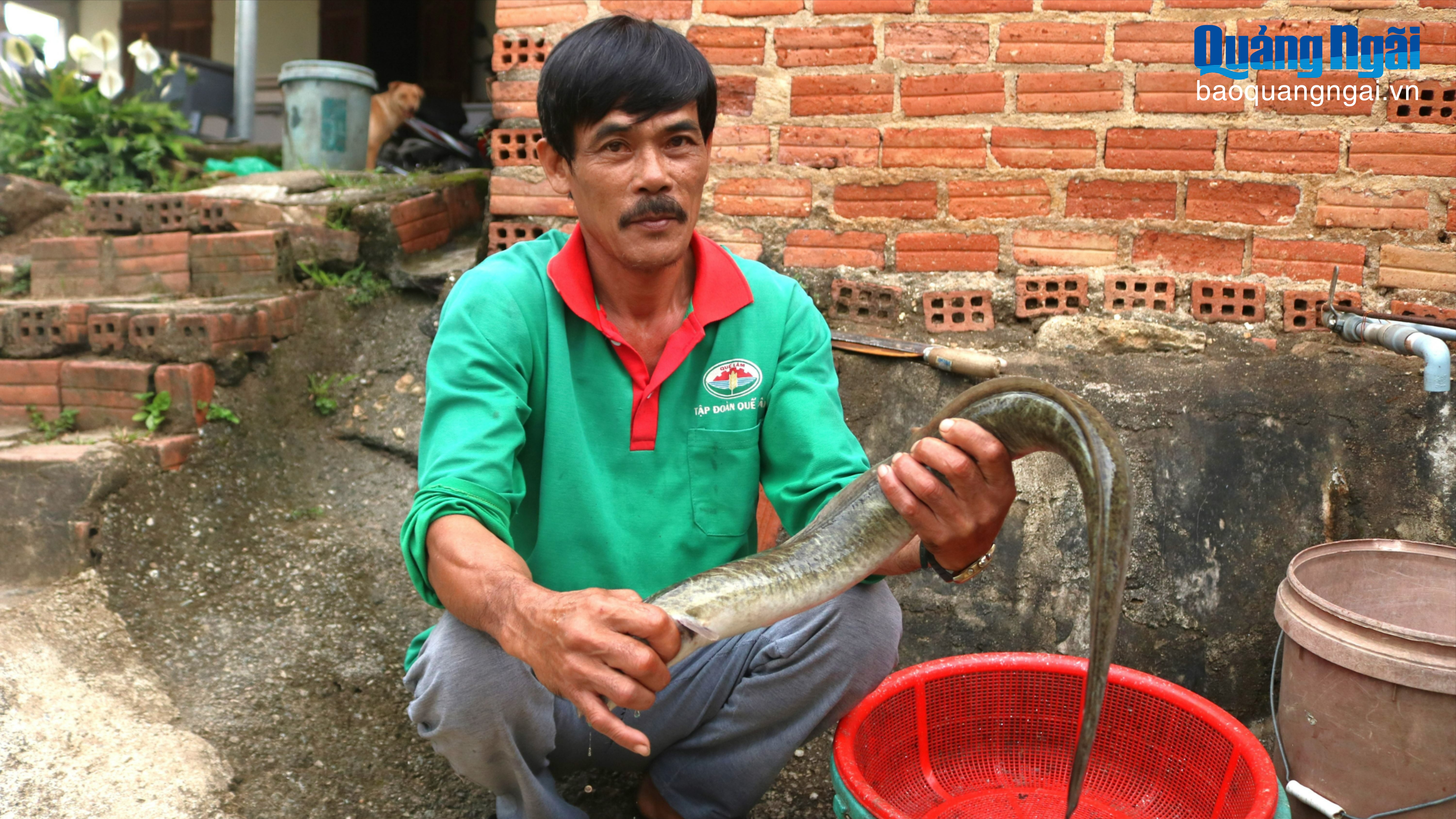 Thu tiền tỷ từ mô hình nuôi cá chình