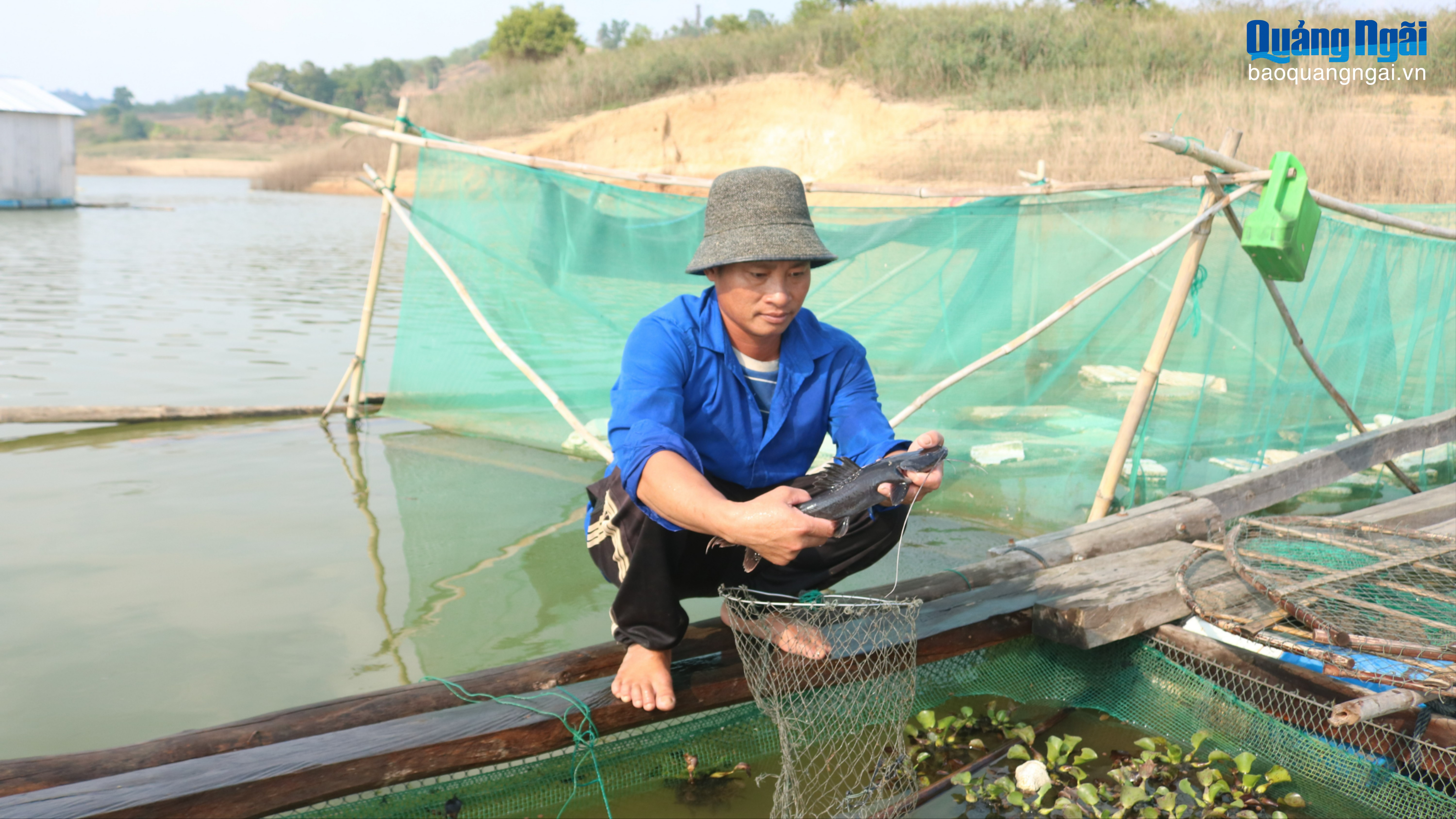 Nghề nuôi cá lồng mở hướng sinh kế