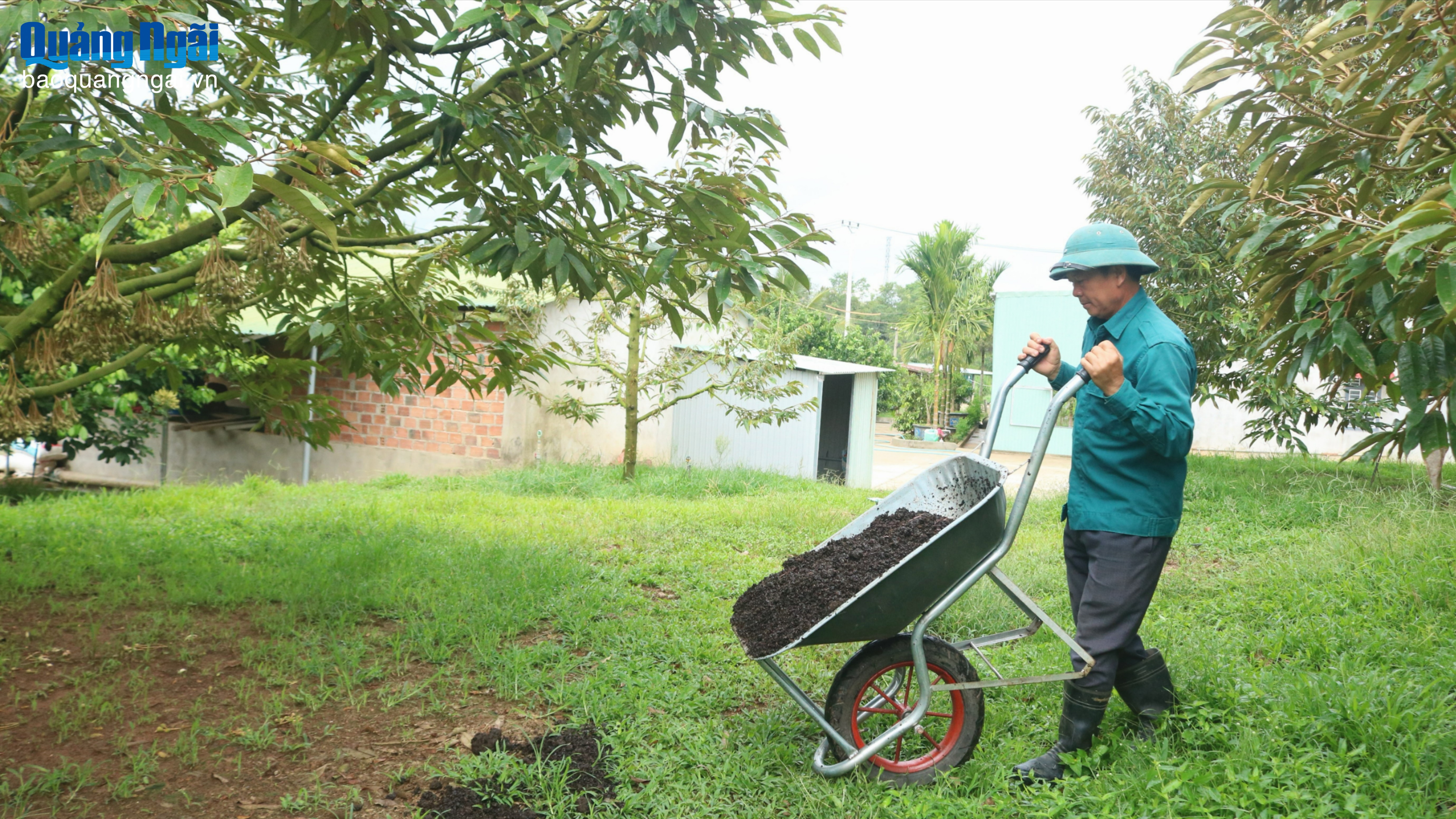 Làm giàu từ kinh tế tuần hoàn