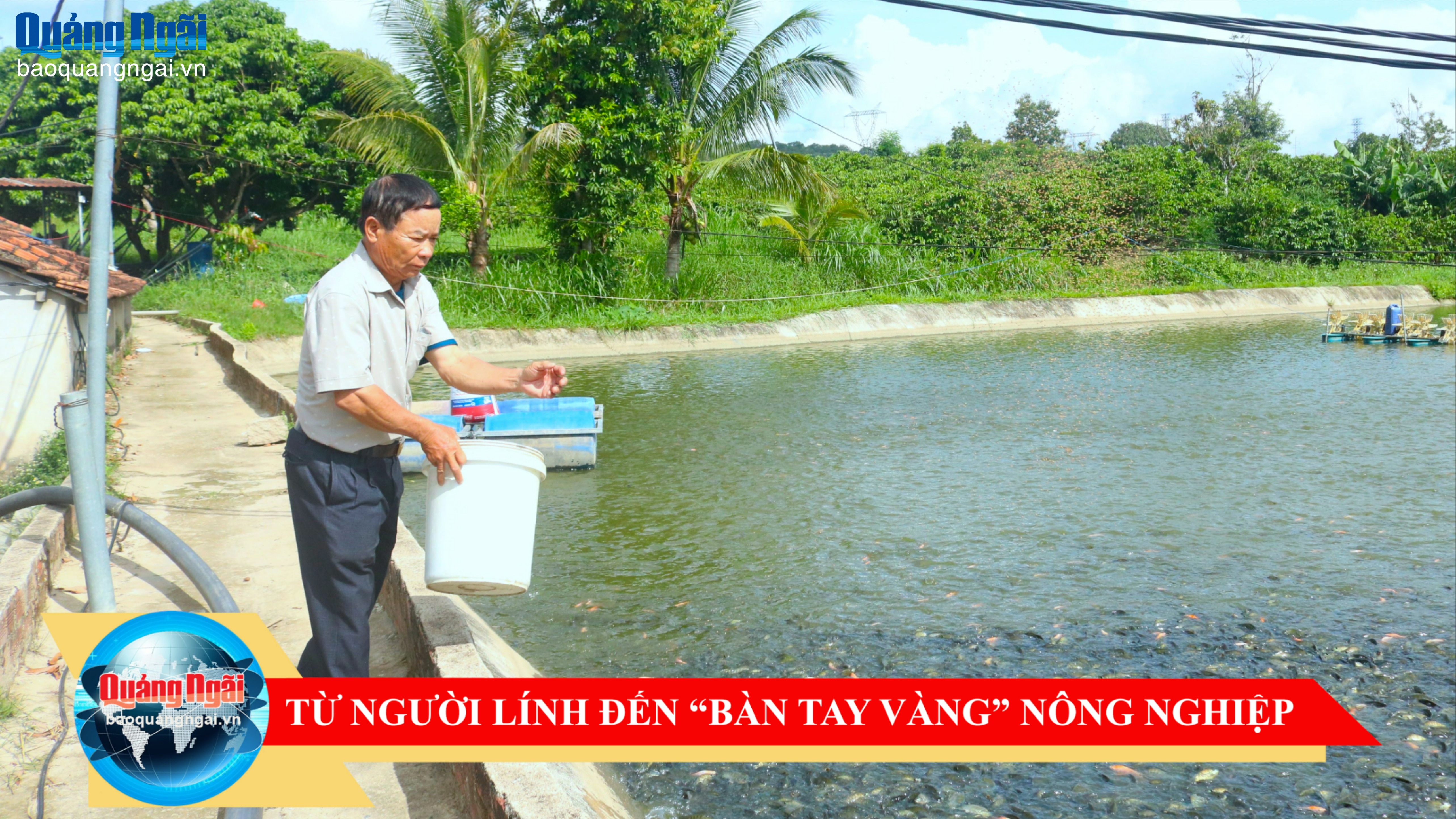 [Video]. Từ người lính đến “bàn tay vàng” nông nghiệp