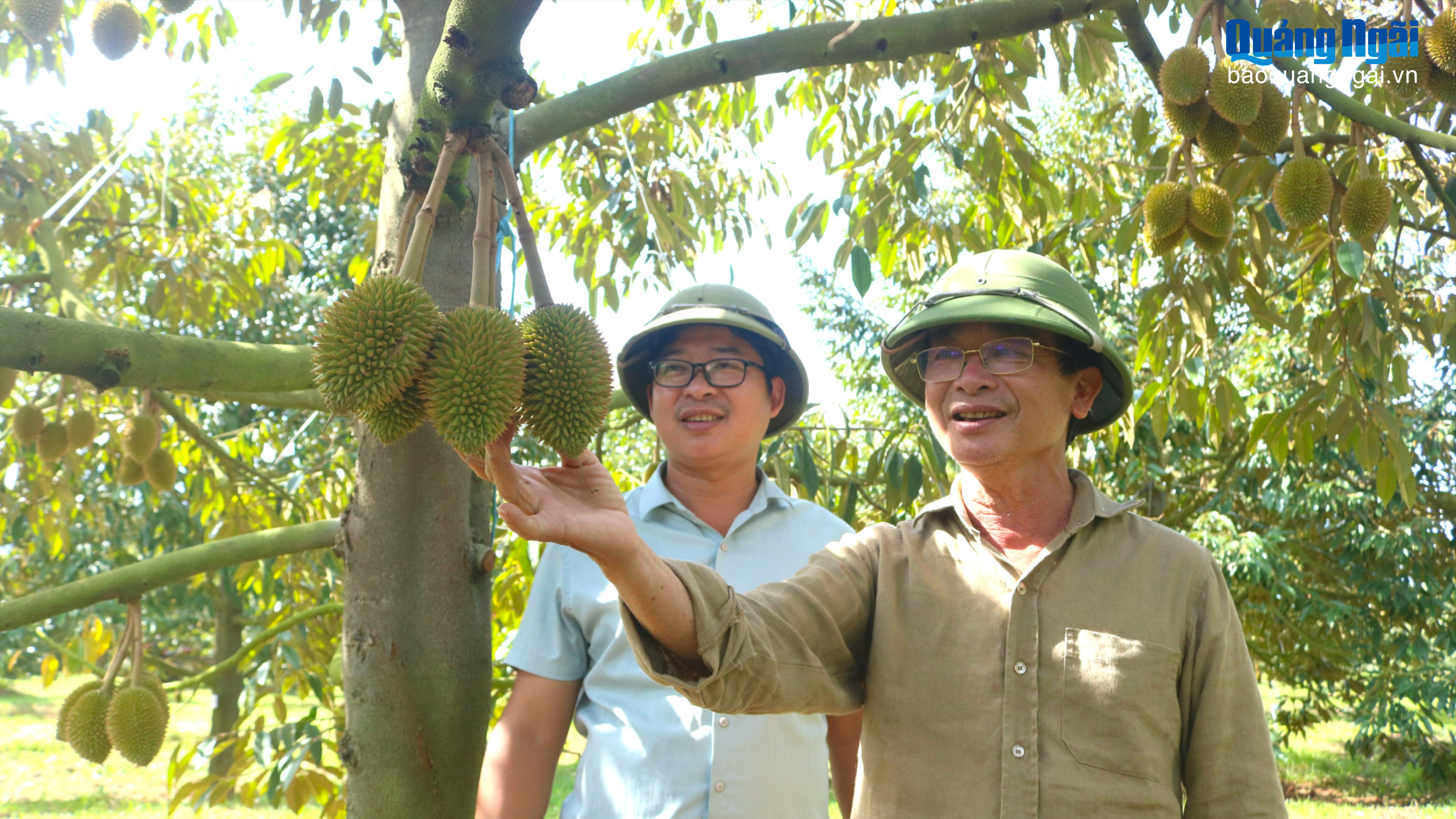Những “tỷ phú” nông dân ở vùng cao