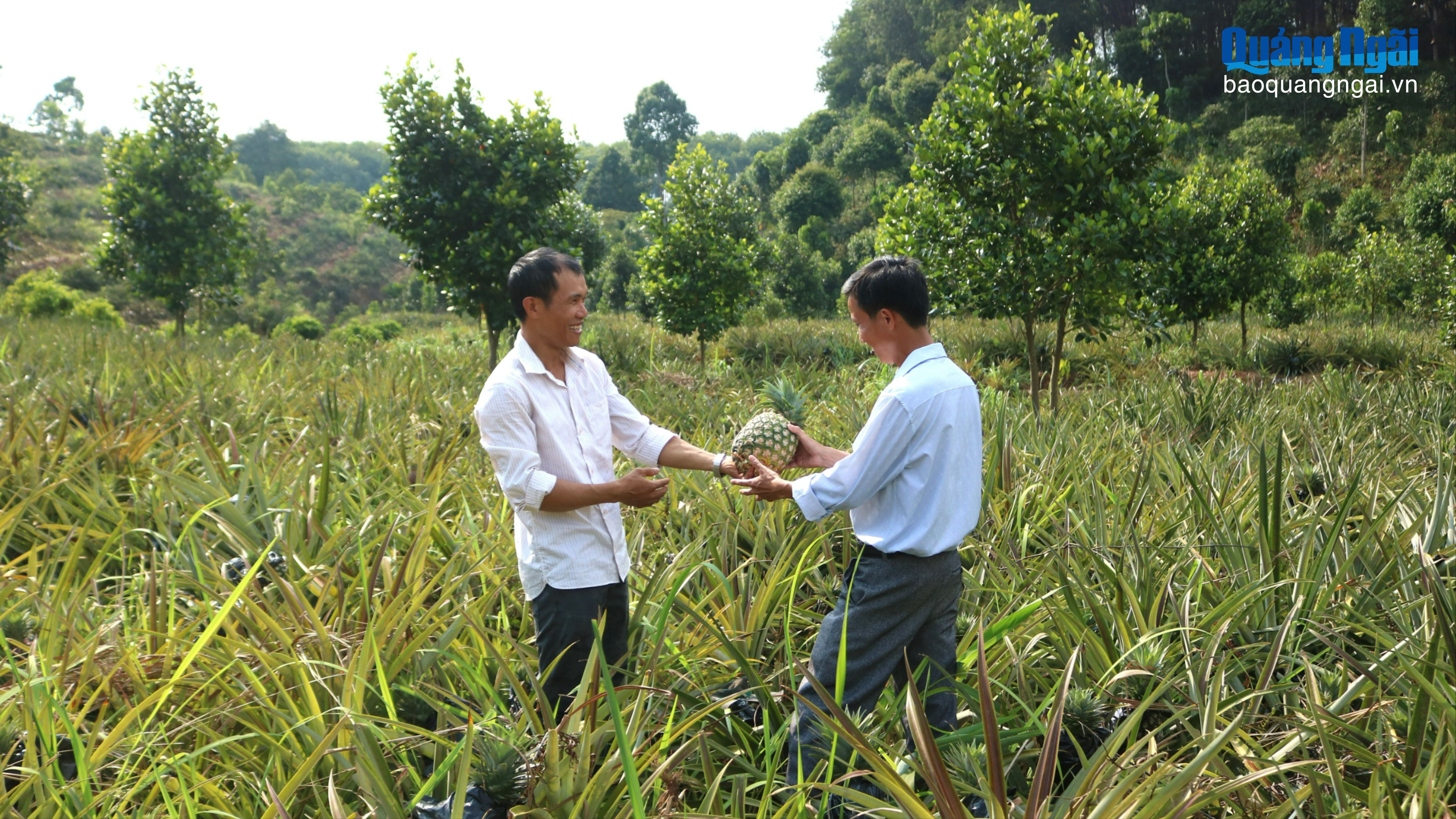 Nông dân đổi thay nhờ hợp tác xã