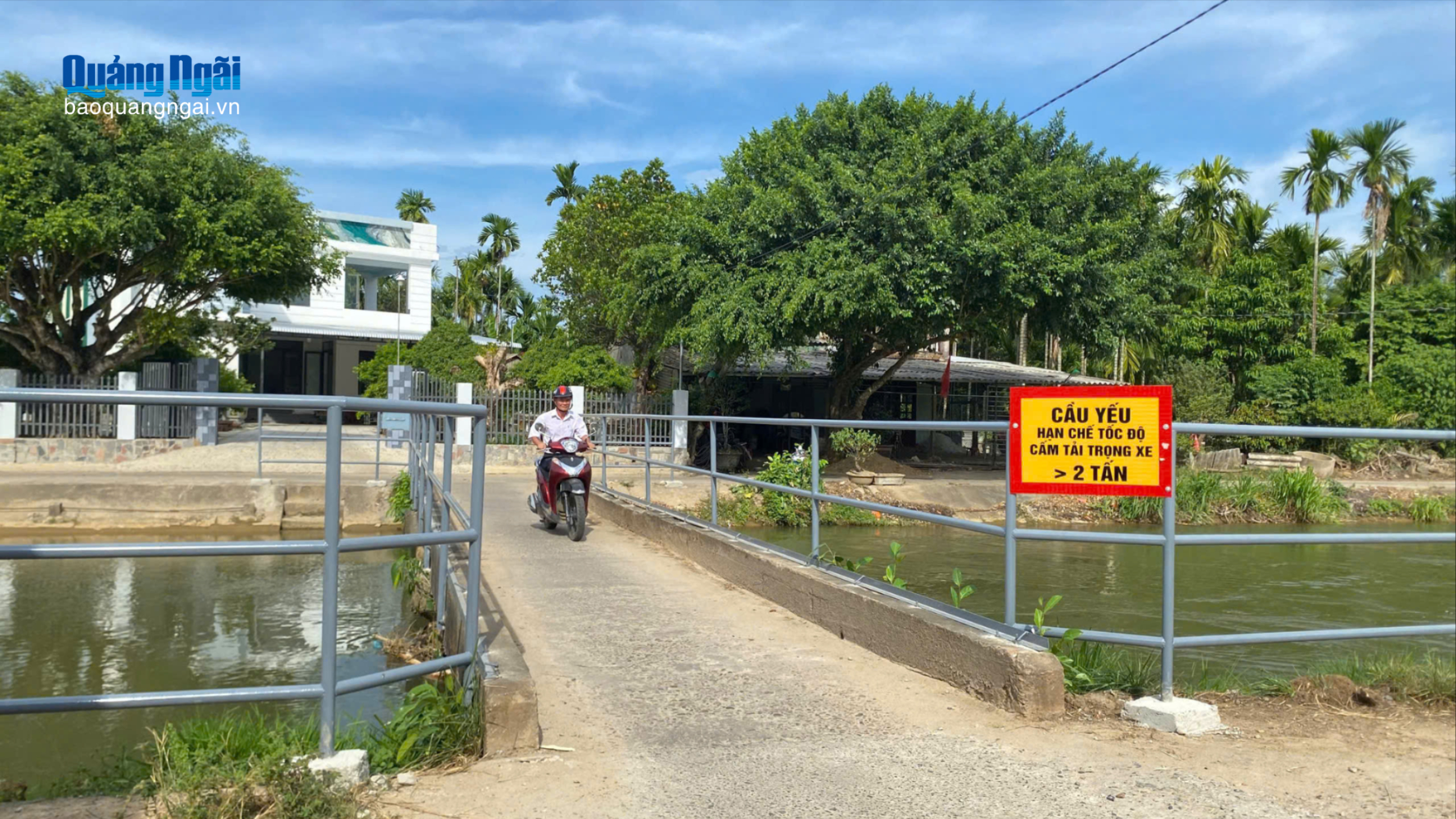 Từ trang báo đến hành động