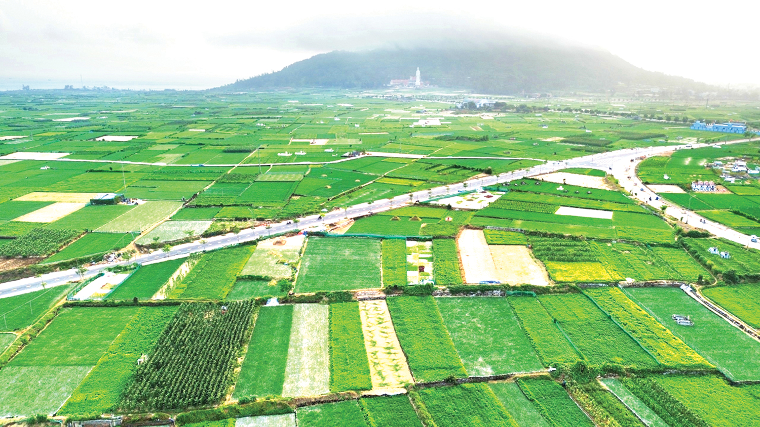 Học và làm theo Bác ở Lý Sơn