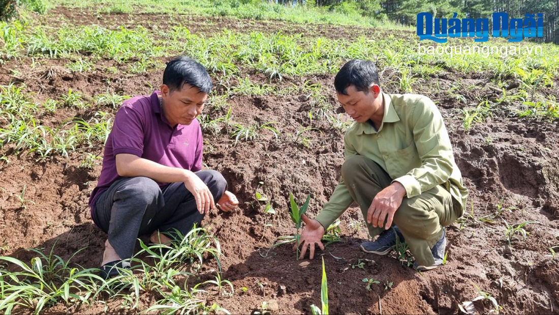 Đổi mới tư duy sản xuất nông nghiệp