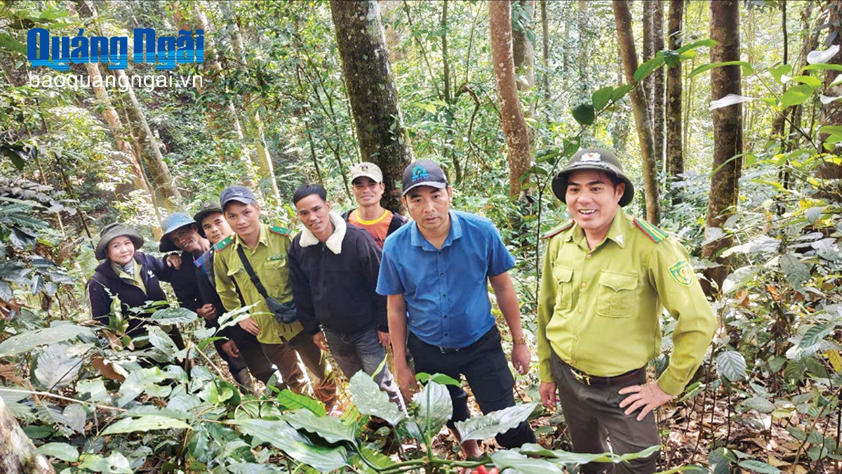 Chủ động trong công tác quản lý, bảo vệ rừng