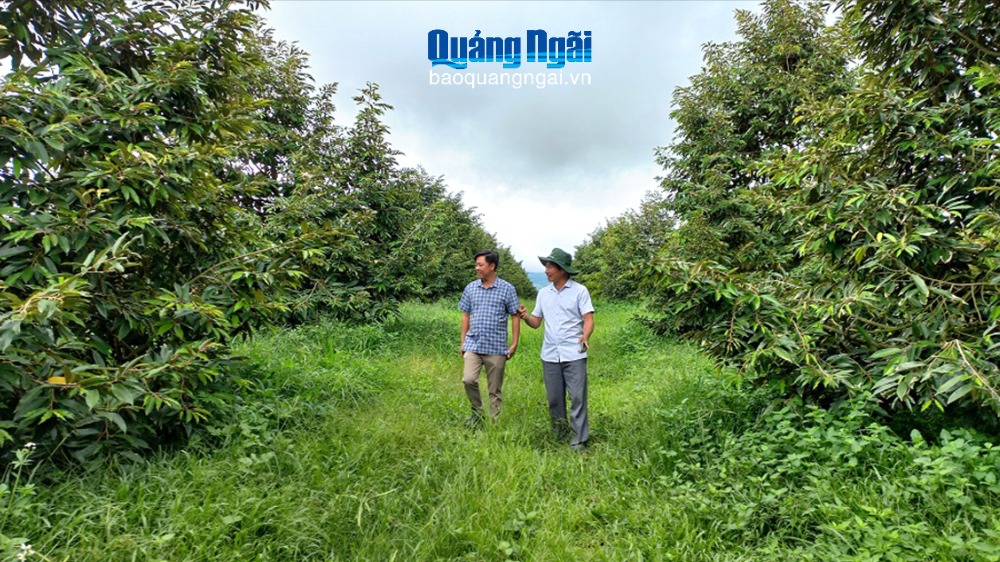 Nông dân thi đua làm giàu