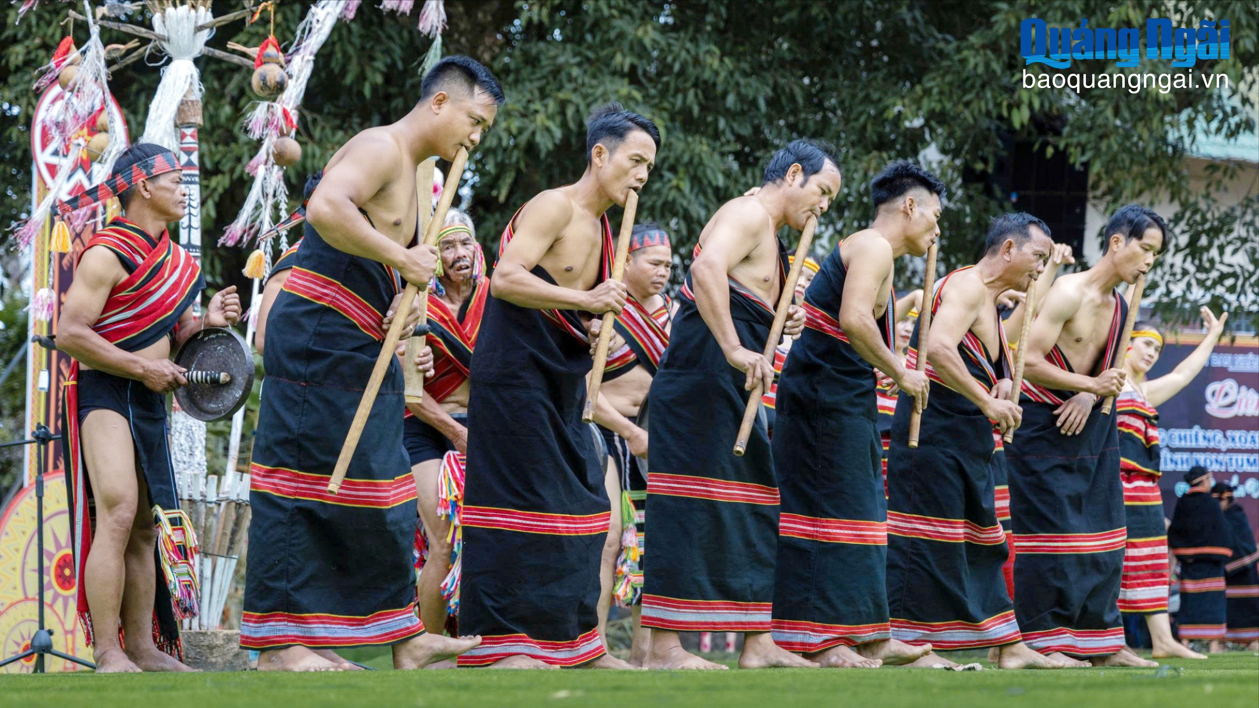 Đinh tút gọi xuân