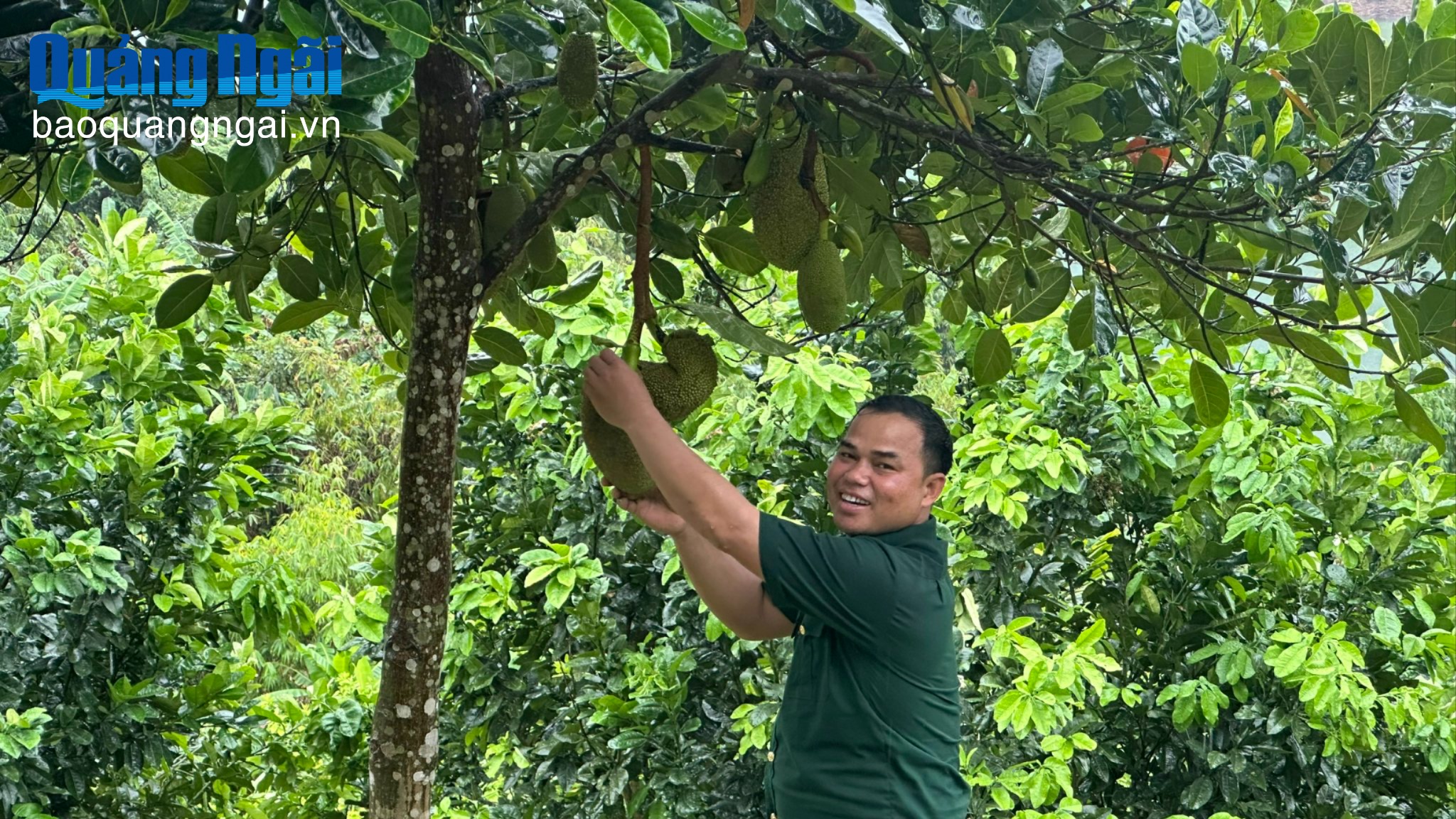 Làm giàu trên đất đồi