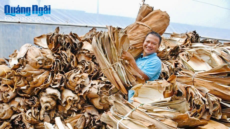 Miền đất lành cho những khát vọng