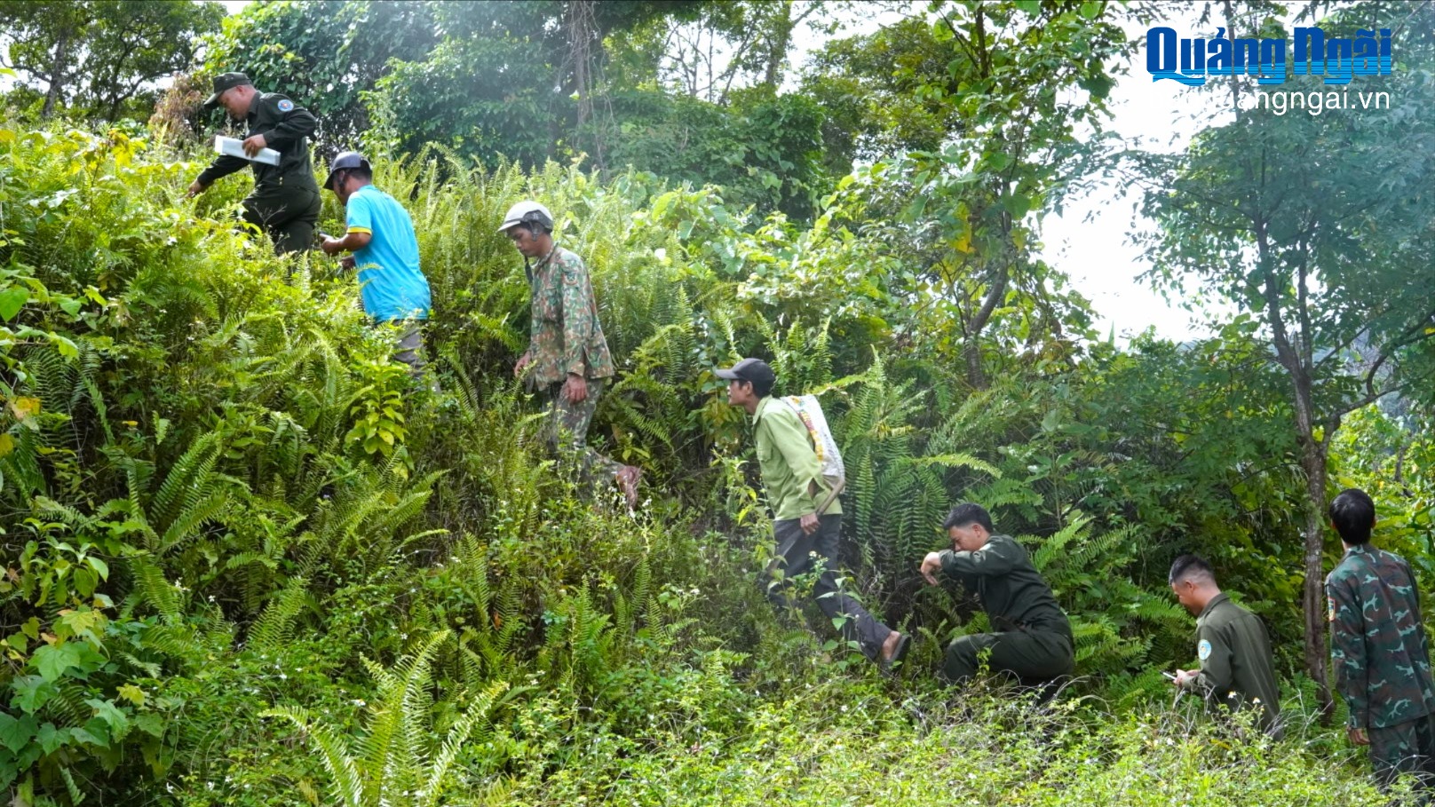 Giữ màu xanh đại ngàn