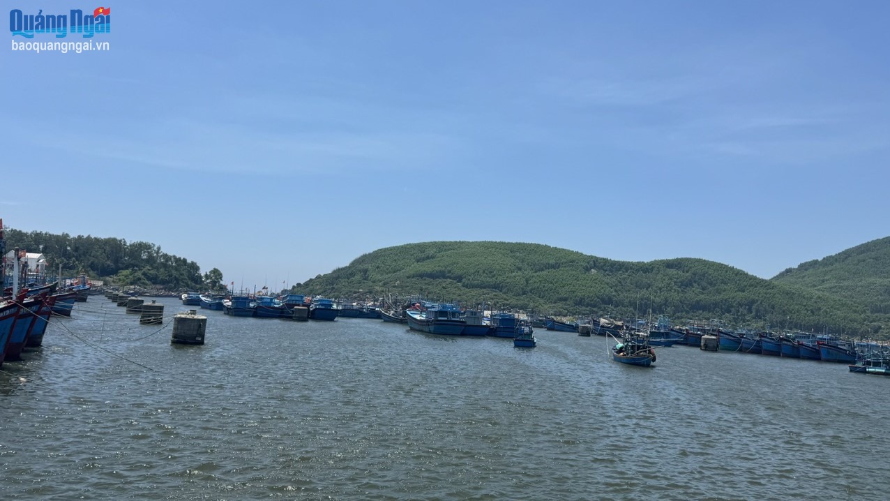 Niềm vui nơi cửa biển Mỹ Á