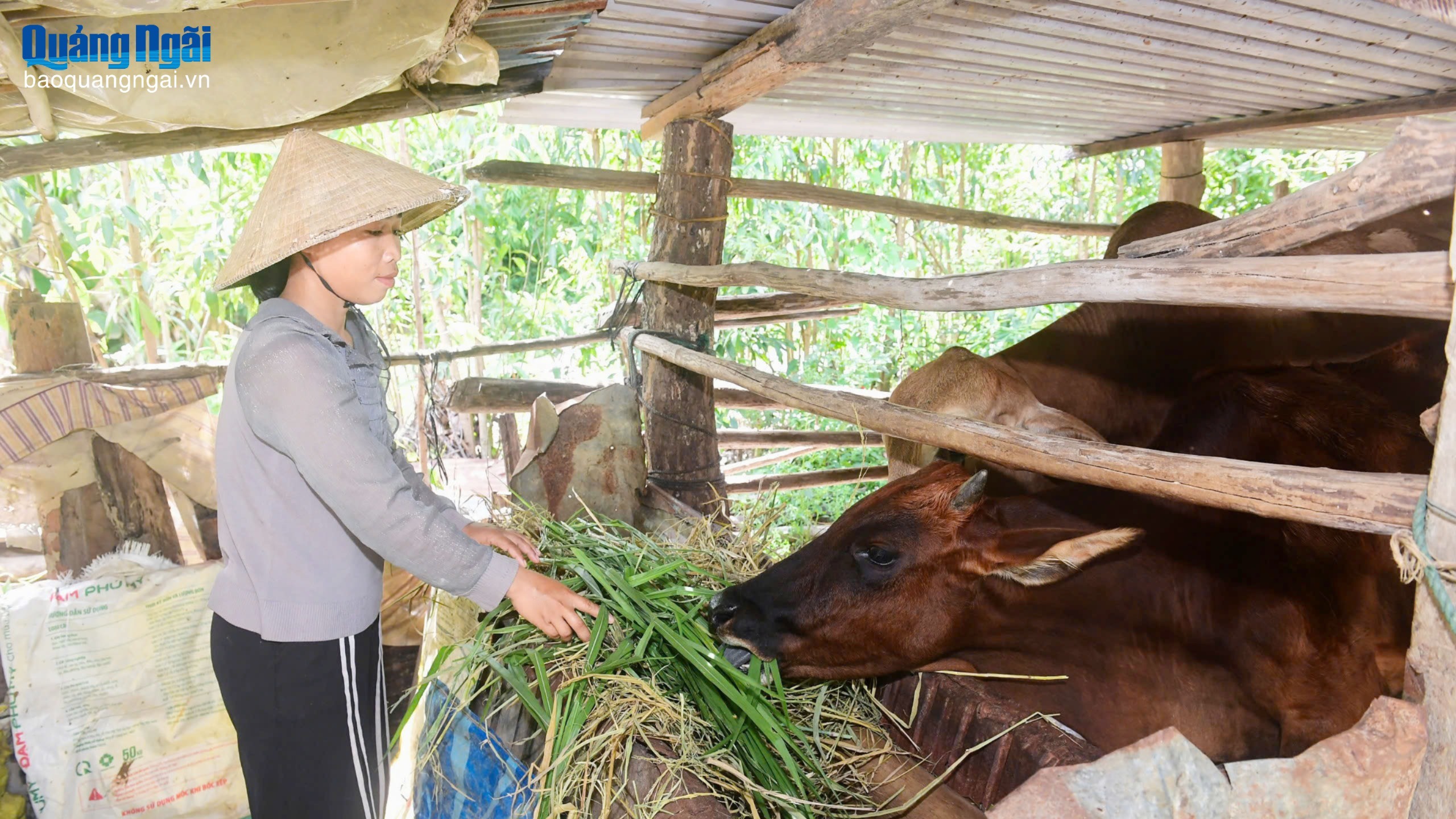 Giúp phụ nữ thoát nghèo