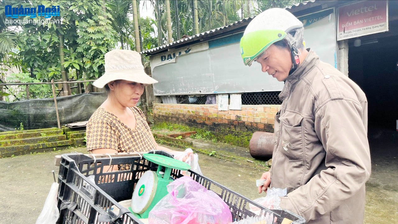 Mưu sinh ngày đông