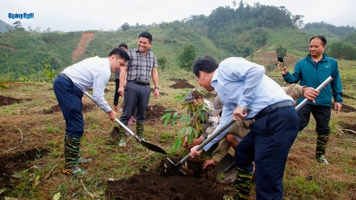 Xã Sơn Tây Thượng xây dựng vùng nguyên liệu sạch