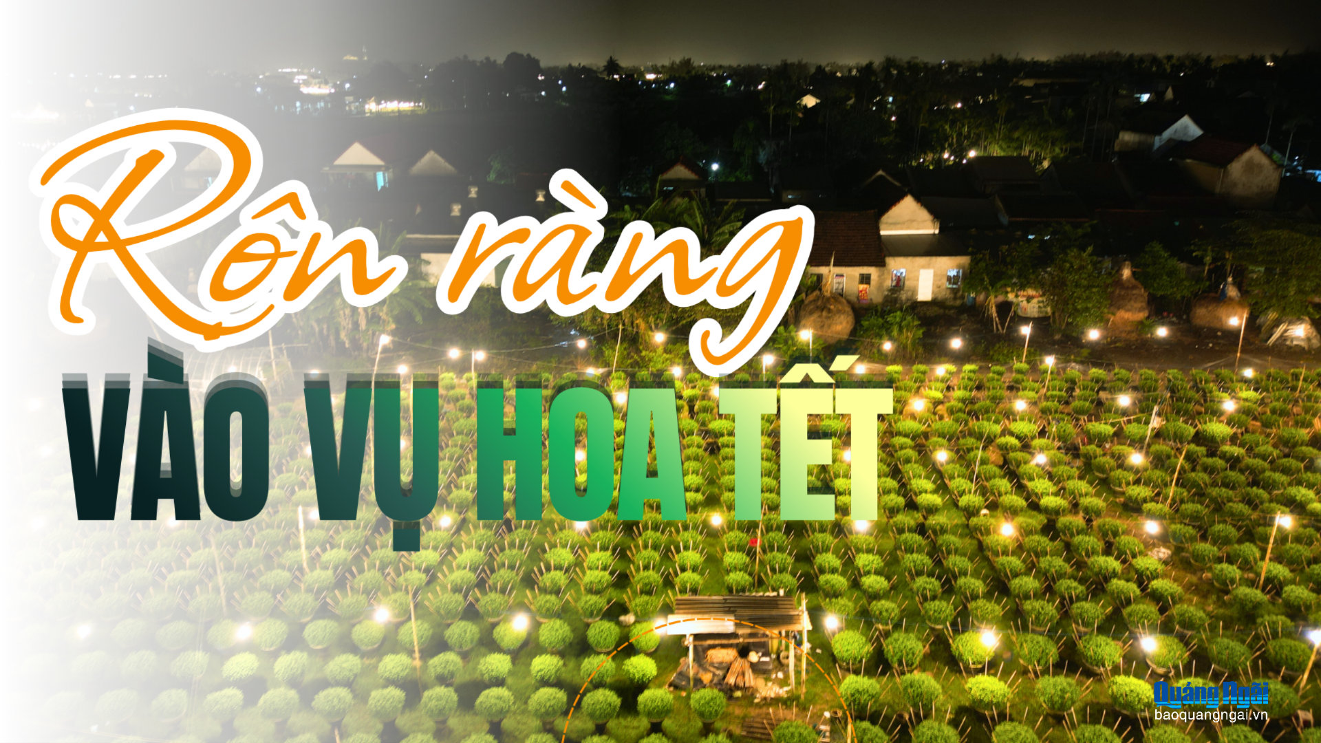 Rộn ràng vào vụ hoa Tết