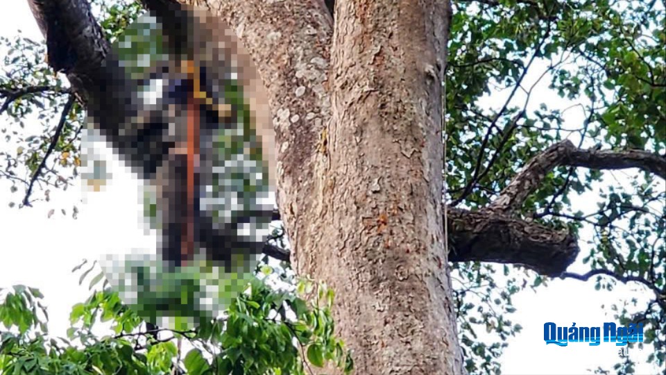 Gần 21 giờ nỗ lực đưa thi thể người dân từ rừng sâu về nhà