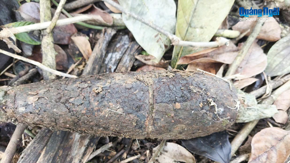 Phát hiện bom, đạn còn sót lại sau chiến tranh ở Minh Long