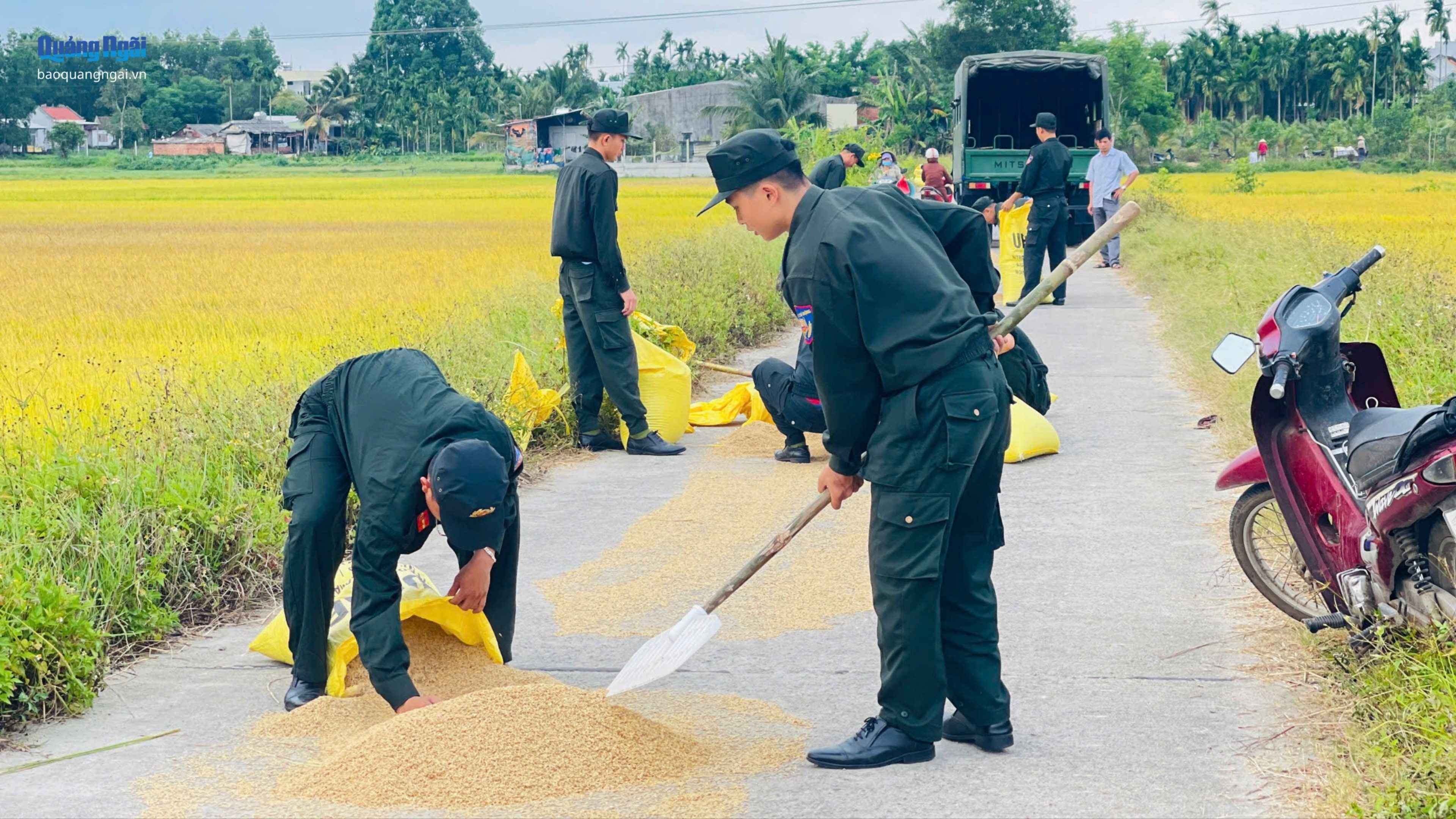 Cảnh sát cơ động giúp người khuyết tật vận chuyển lúa về nhà