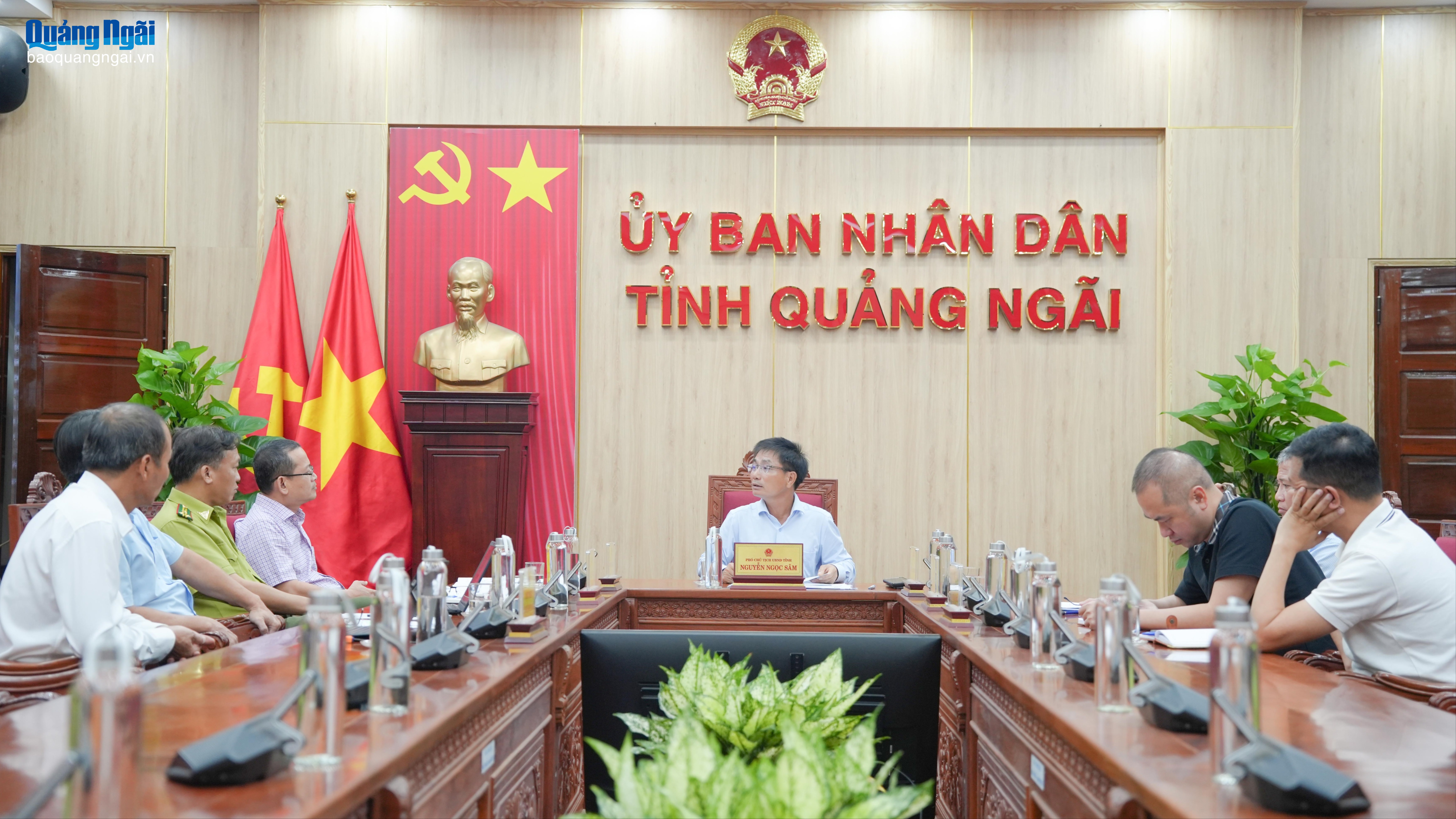 Xử lý rừng trồng, phục vụ dự án Khu đô thị số 1, xã Măng Đen