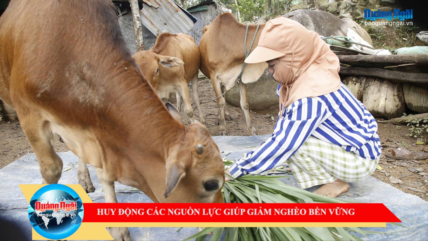 [Video]. Huy động các nguồn lực giúp giảm nghèo bền vững