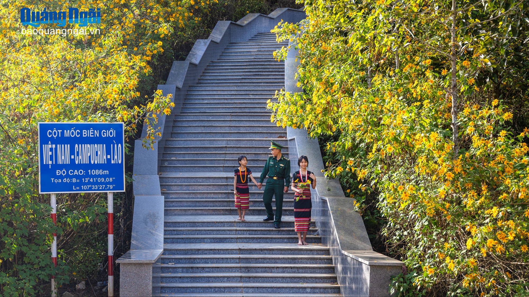 Hoa dã quỳ rực rỡ sắc vàng nơi Cột mốc ba biên