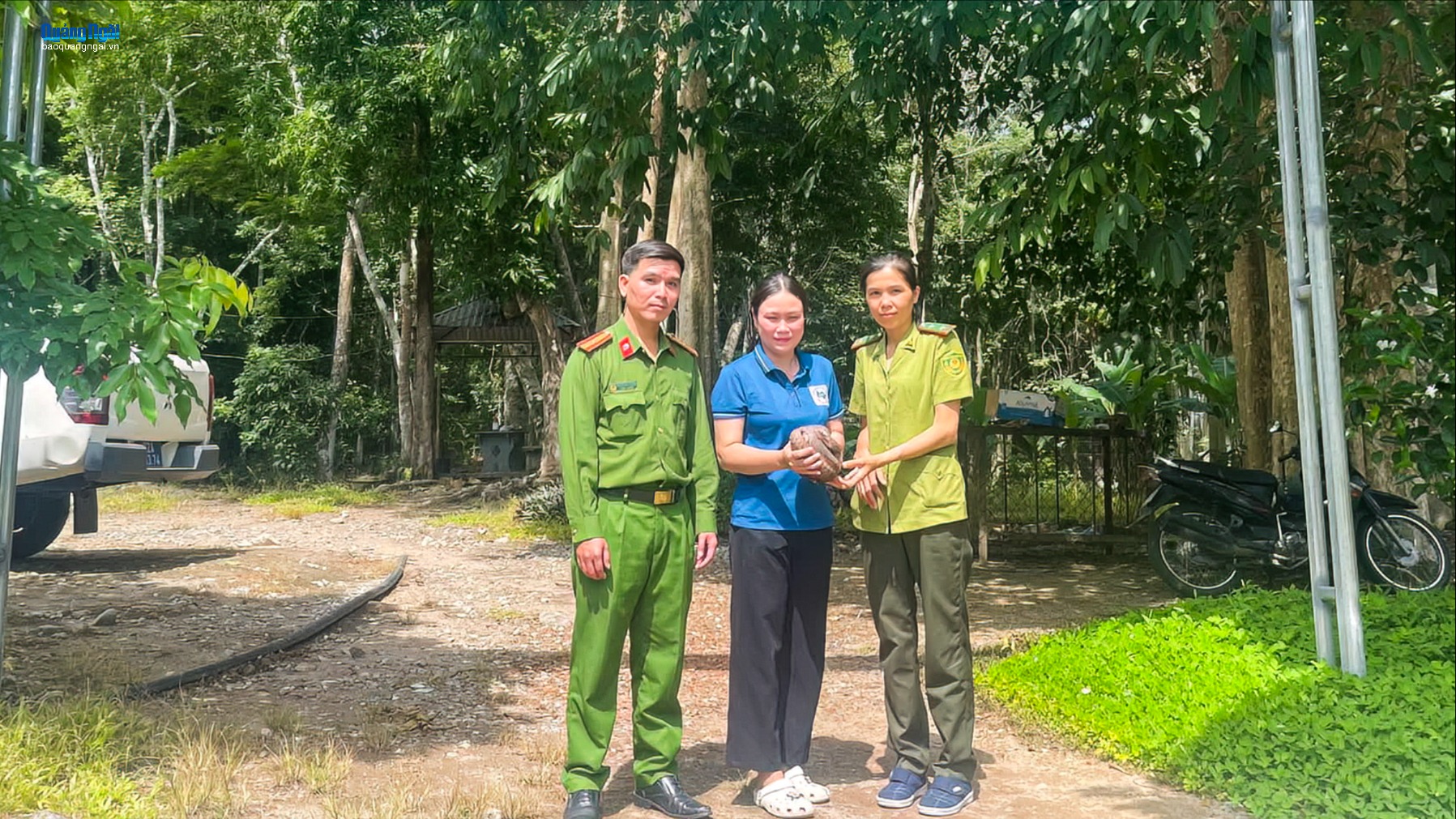 Người dân tự nguyện giao nộp cá thể tê tê Java quý hiếm