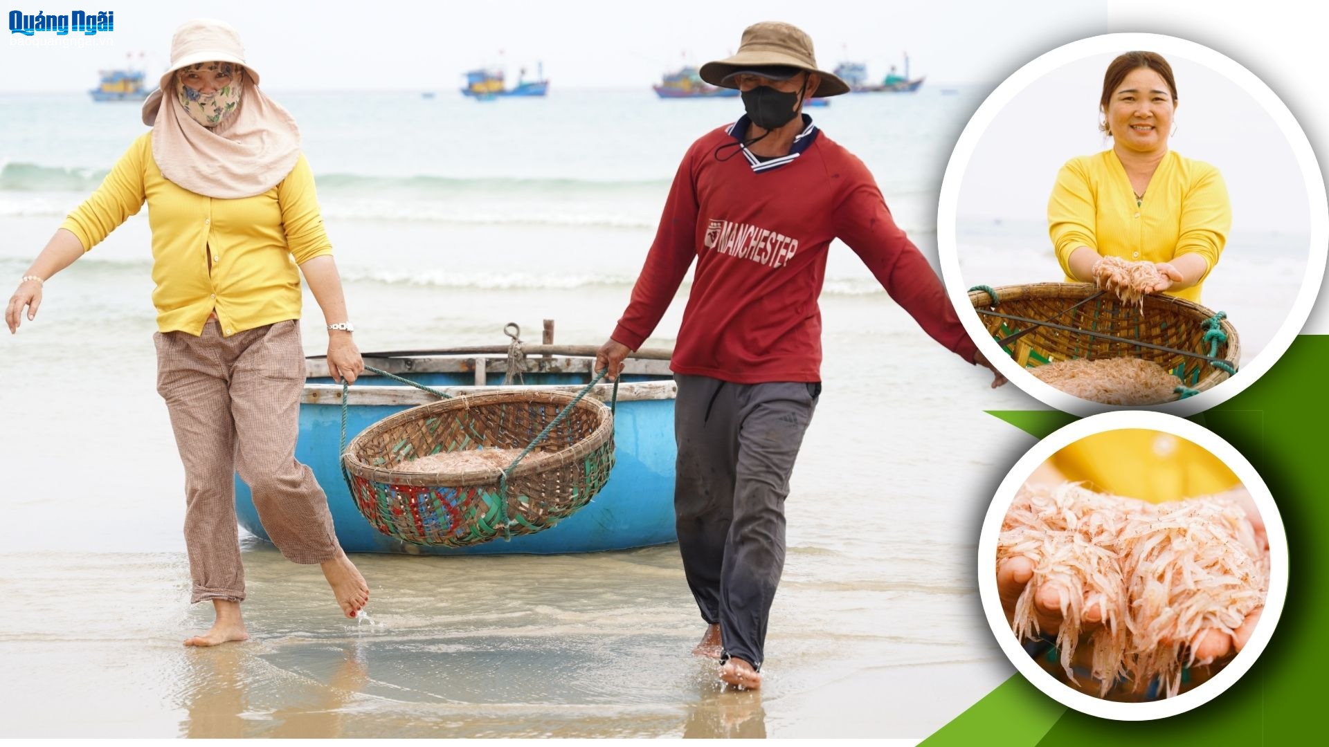 Bội thu mùa ruốc