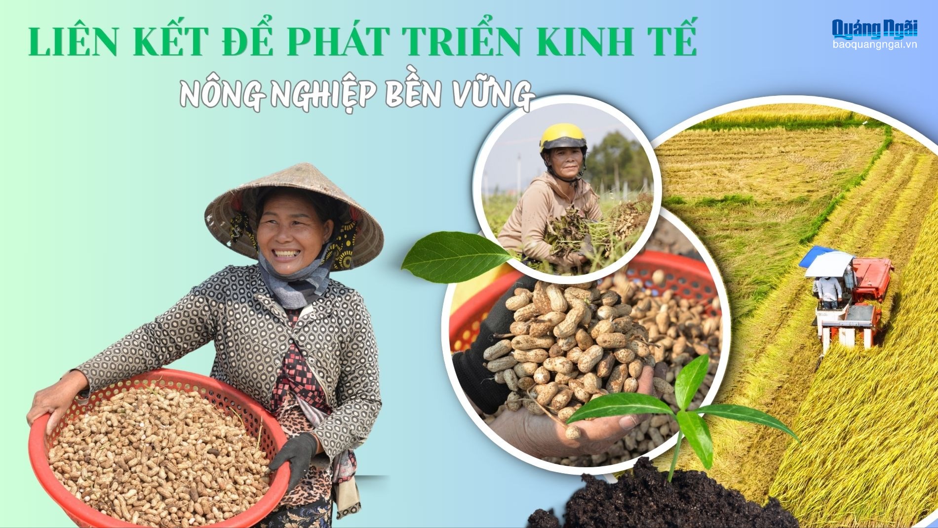 Liên kết để phát triển kinh tế nông nghiệp bền vững