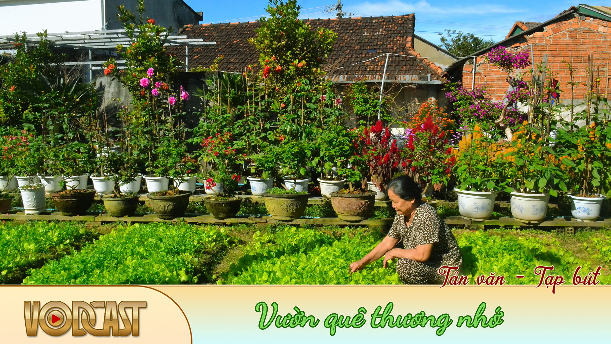 [VODCAST]. Vườn quê thương nhớ