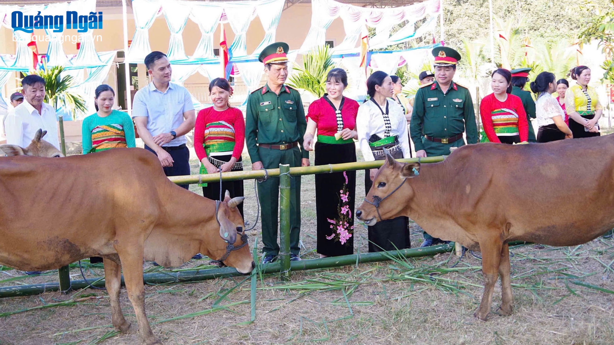 Đoàn Kinh tế - Quốc phòng 732 trao bò giống hỗ trợ người dân xã Rờ Kơi