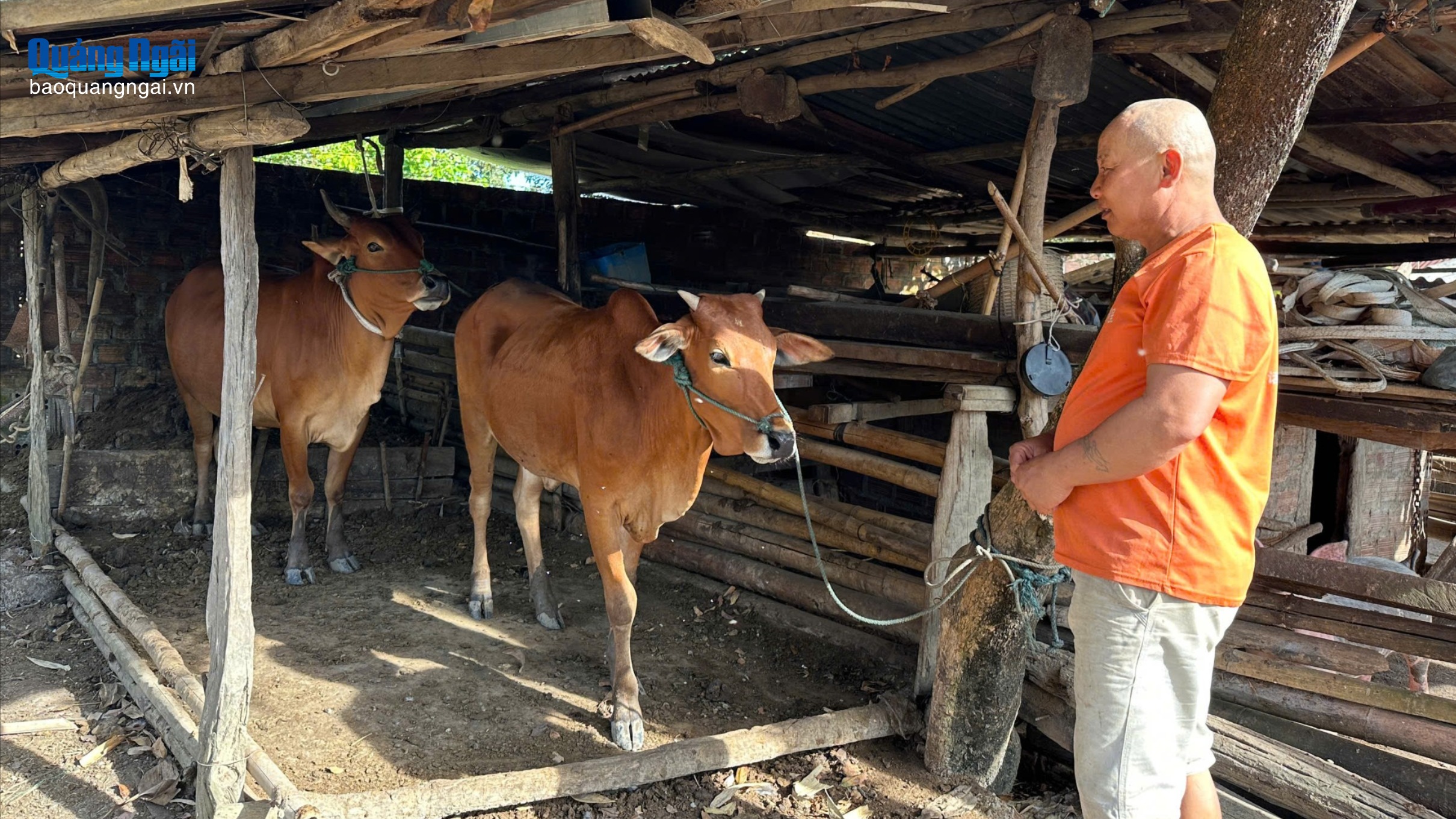 Trao sinh kế, vững an sinh