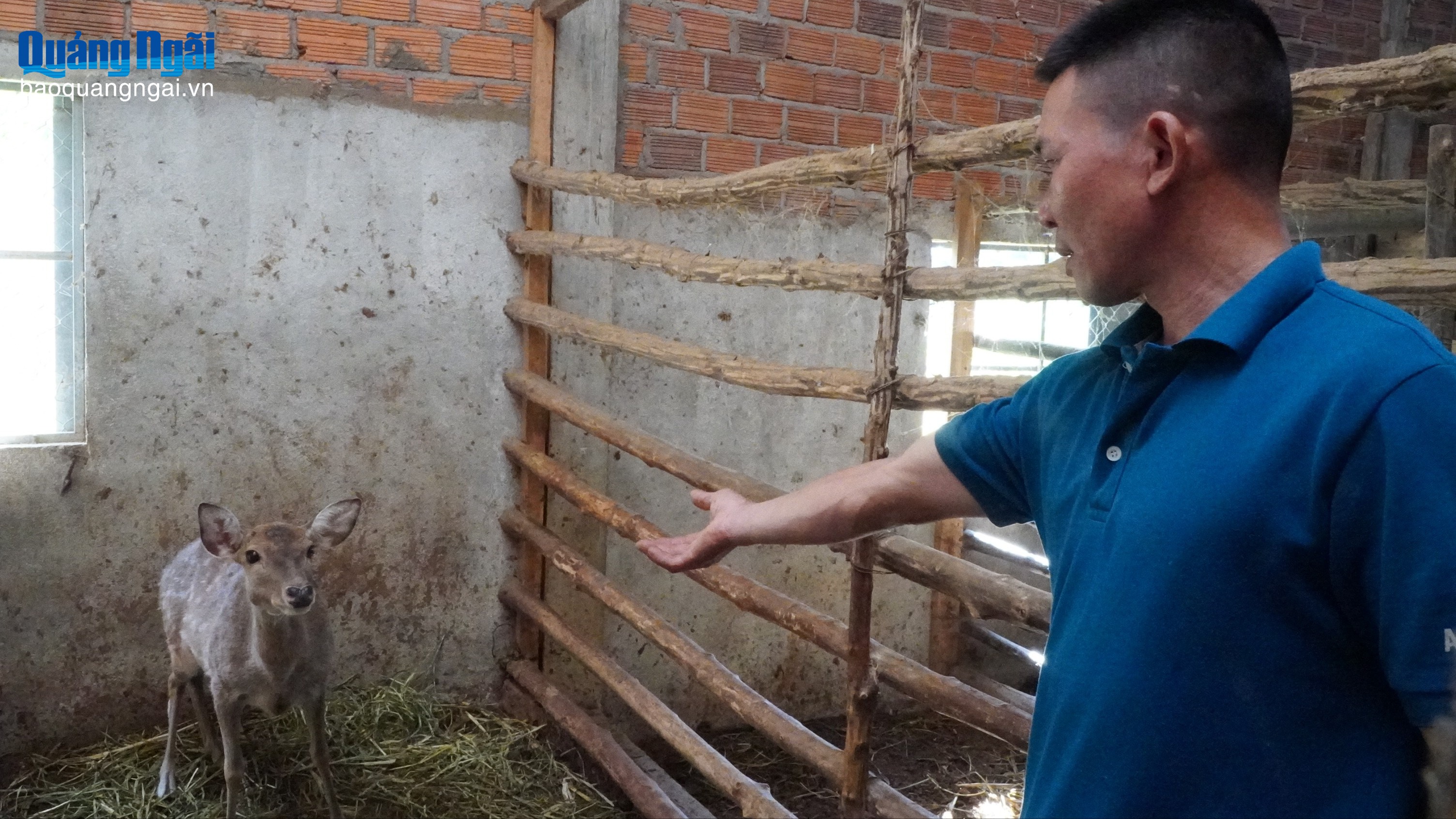 Thành công nhờ ngược lối