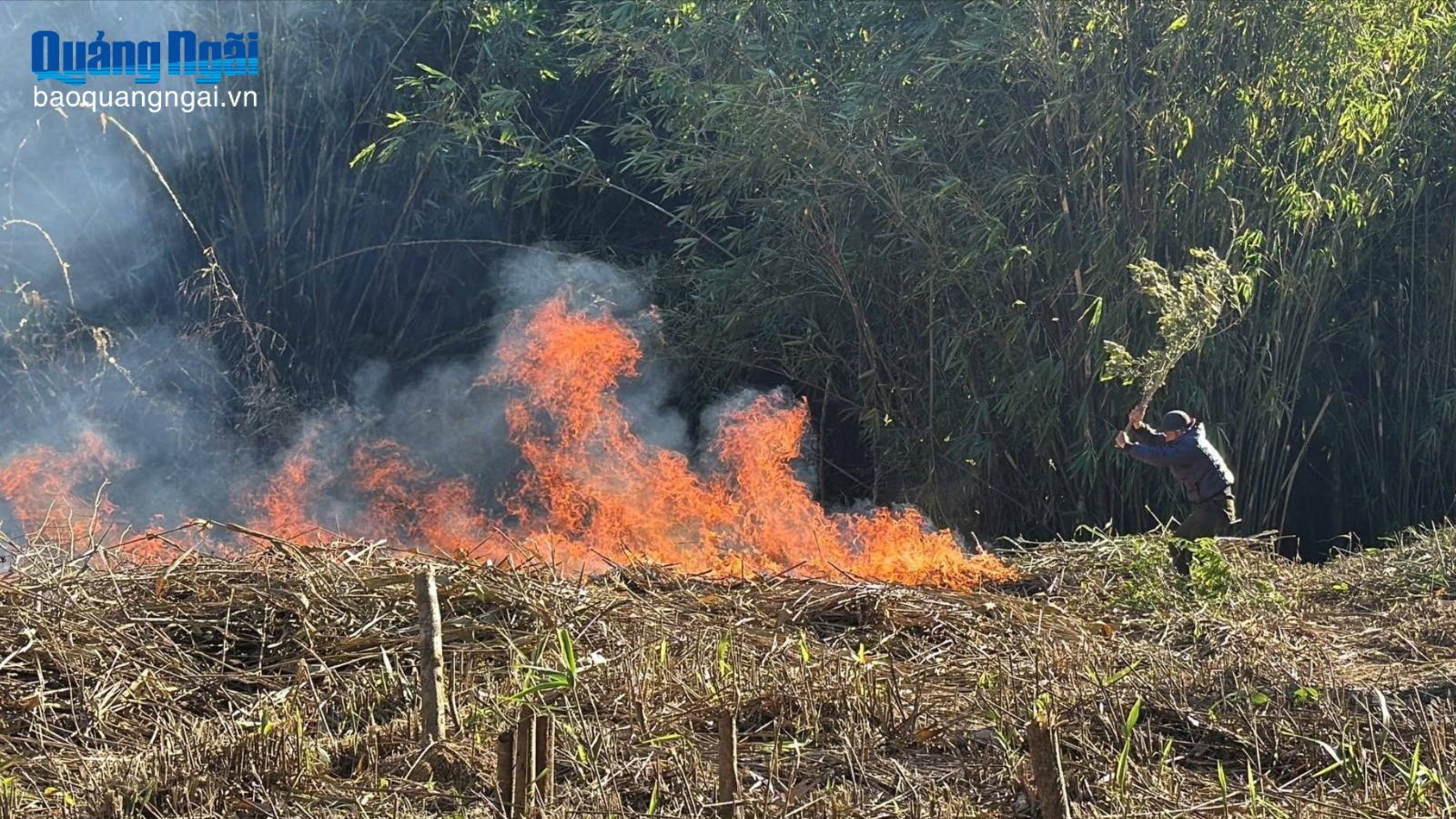 Xã Đăk Pxi diễn tập phòng cháy, chữa cháy rừng năm 2025