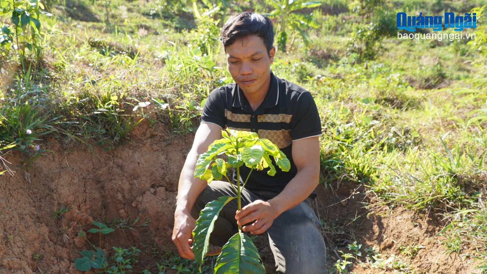 Trẻ xông pha, già mẫu mực