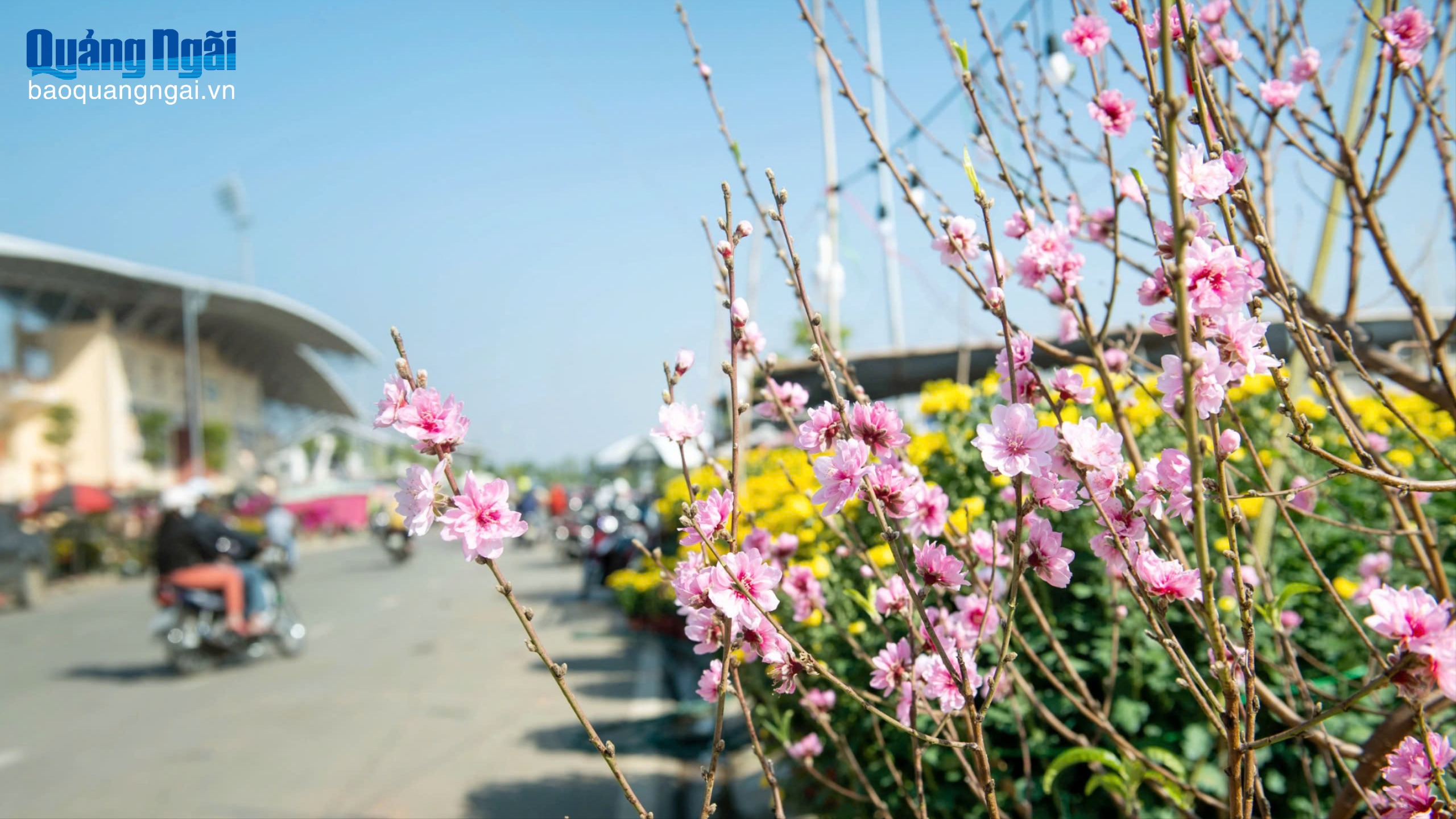 Hội chợ hoa xuân tại phường Kon Tum bắt đầu từ ngày 2/2