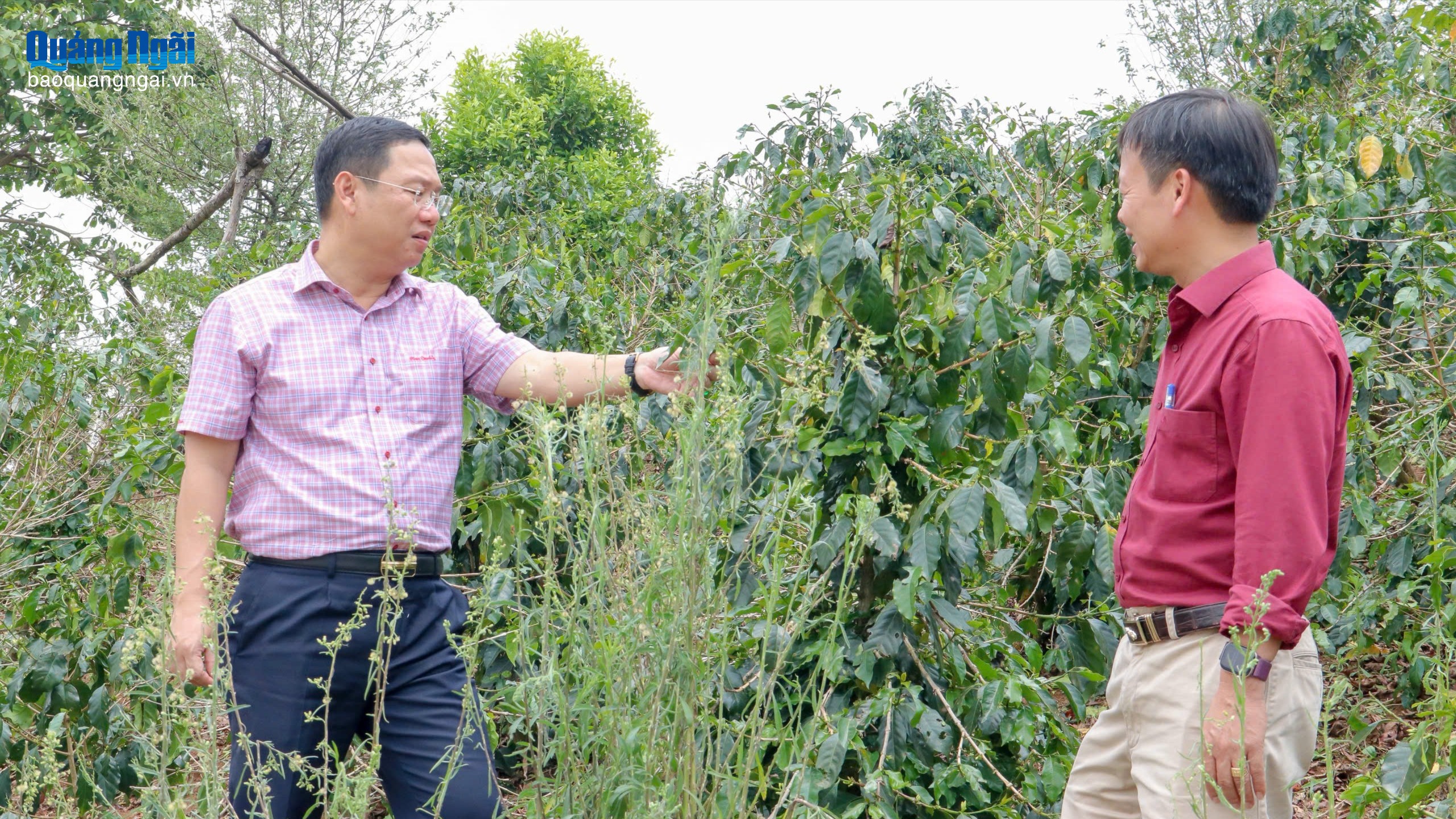 Phó Chủ tịch UBND tỉnh Nguyễn Công Hoàng kiểm tra thiệt hại do mưa đá tại xã Tu Mơ Rông