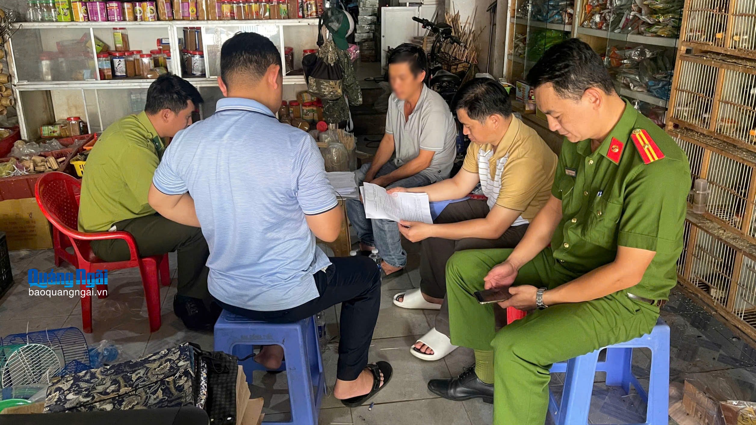 Phát hiện 89 cá thể động vật rừng bị nuôi nhốt trái phép