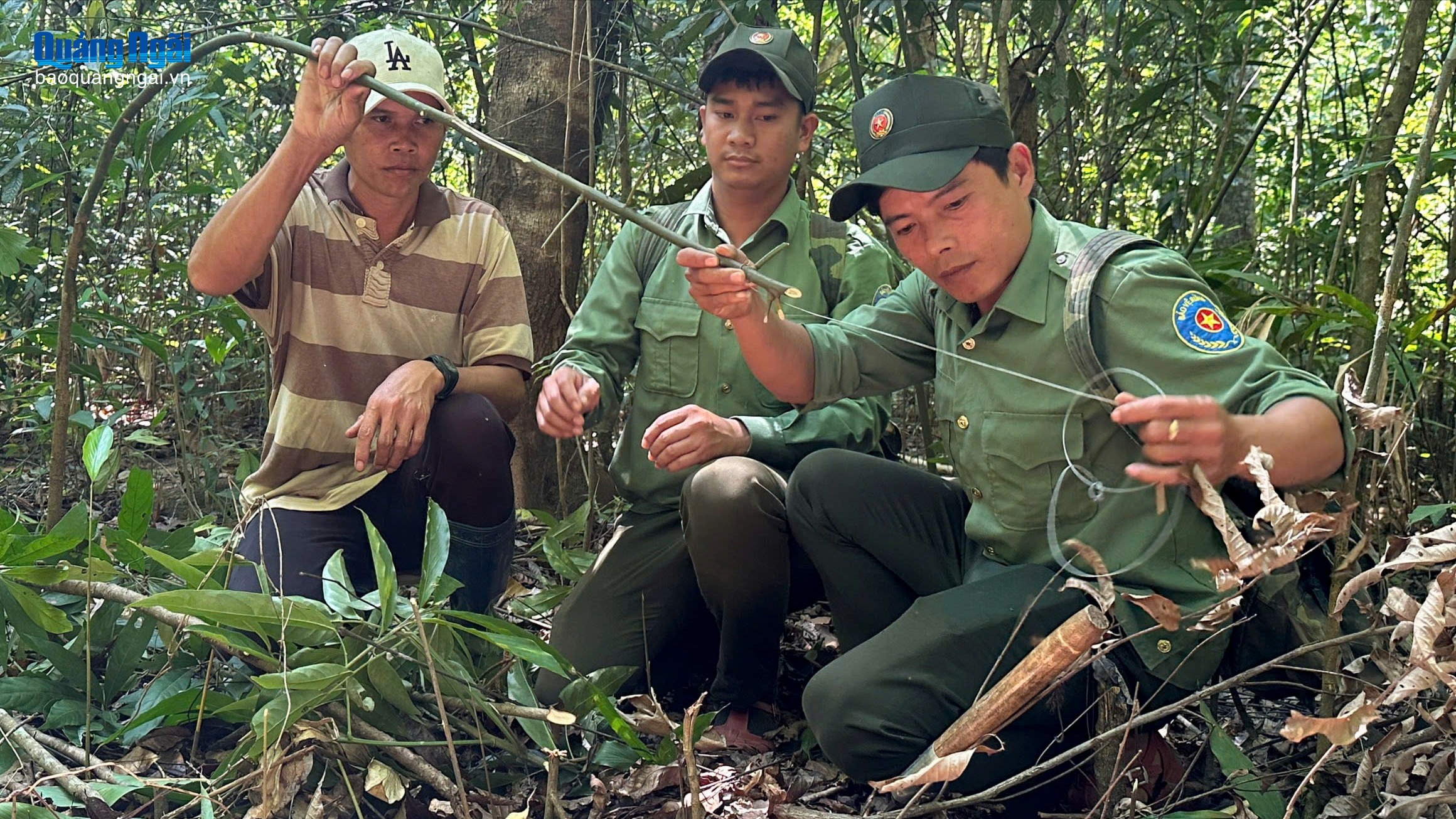 Gìn giữ sự sống cho động vật hoang dã giữa rừng sâu
