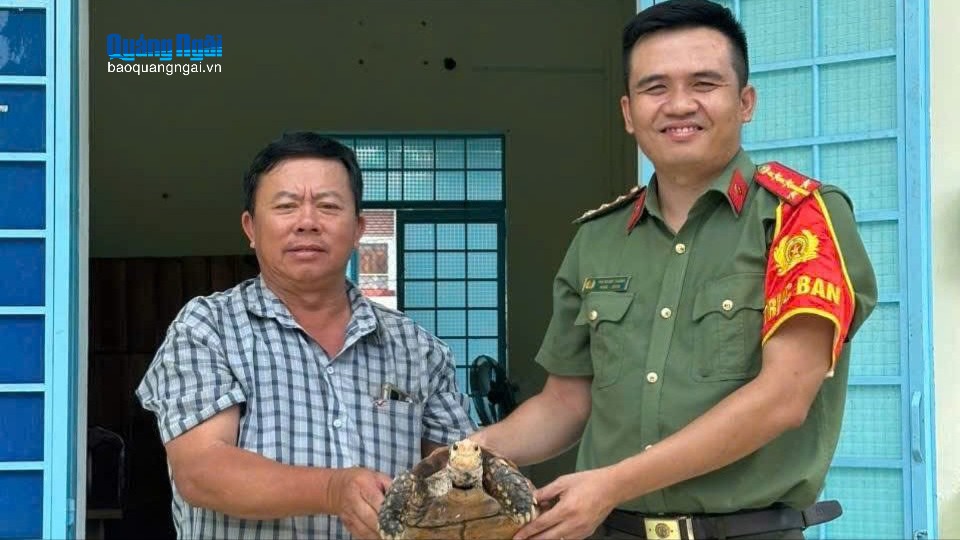 Người dân tự nguyện giao nộp 3 cá thể rùa núi viền quý hiếm