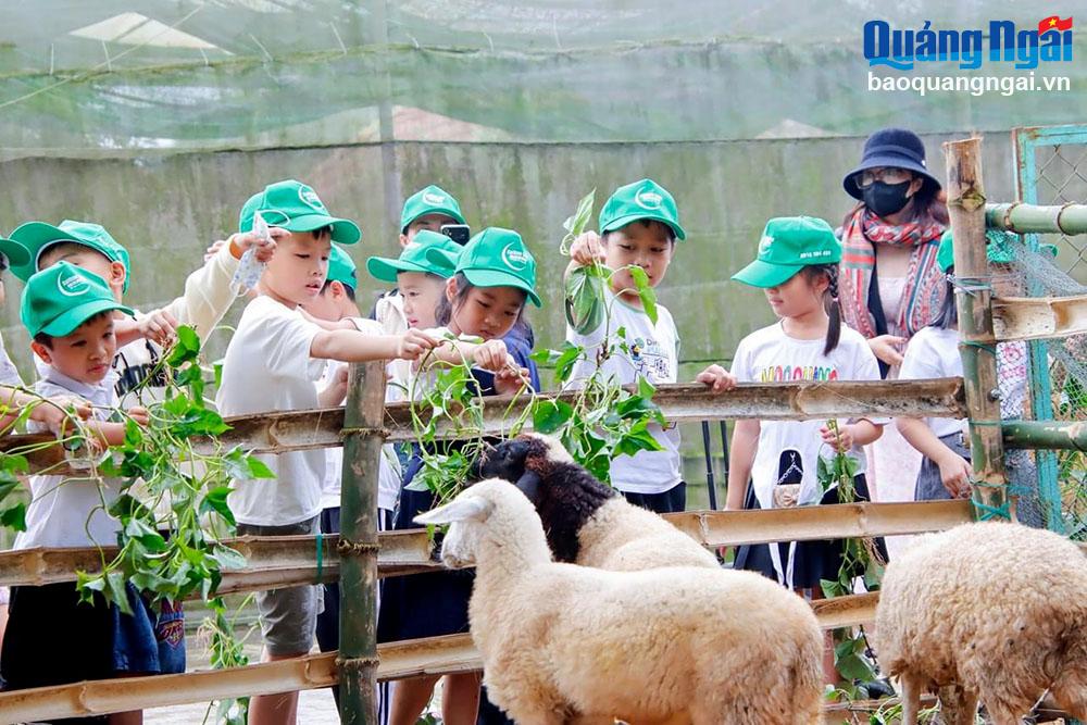 Hấp dẫn du lịch trải nghiệm