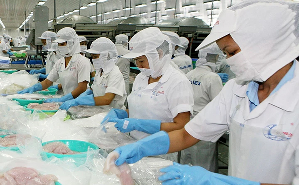 Cú lội ngược dòng ngoạn mục của xuất khẩu