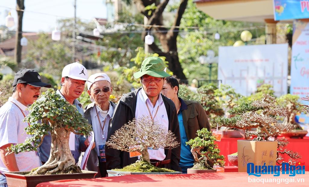 Chiêm ngưỡng những tác phẩm bonsai độc đáo