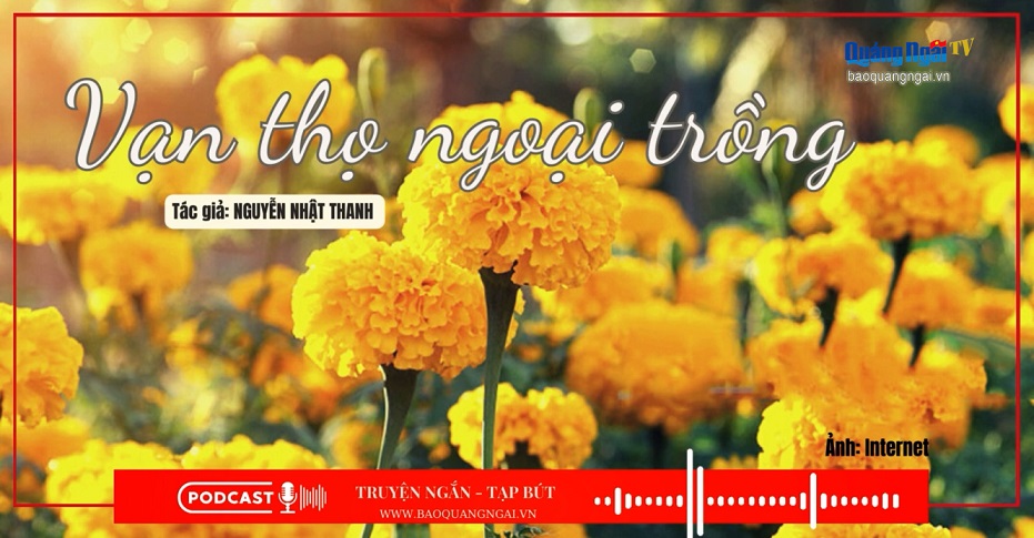 Podcast Truyện ngắn - Tạp bút: Vạn thọ ngoại trồng