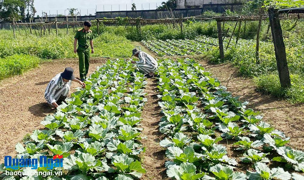 Cảm hóa người lầm lỗi