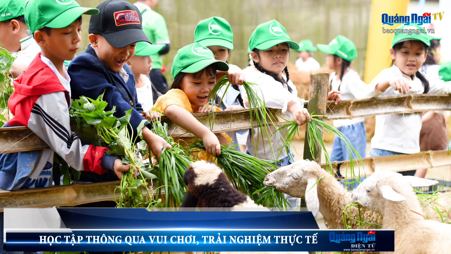 Video: Học tập thông qua vui chơi, trải nghiệm thực tế