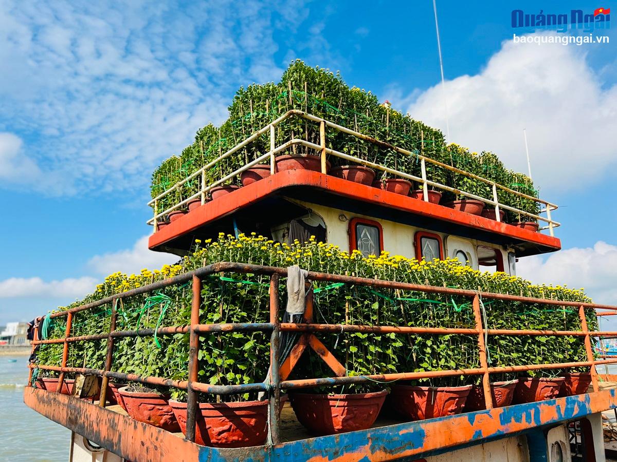 Chở Tết ra đảo Lý Sơn