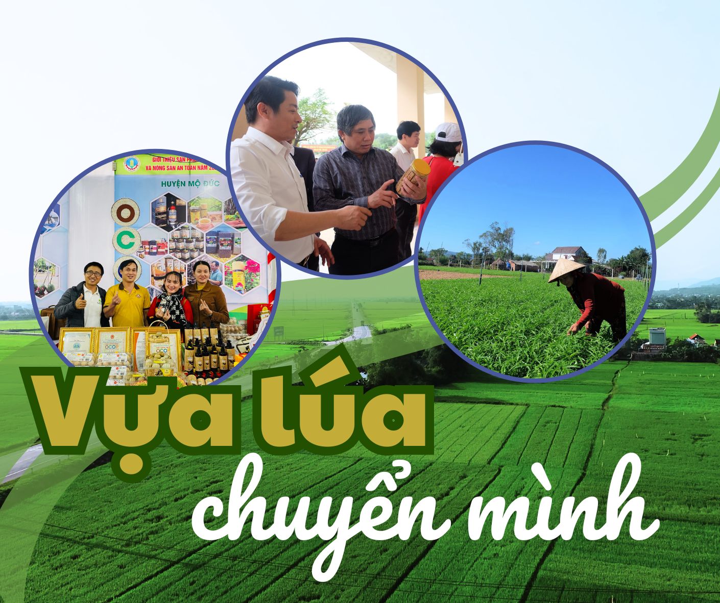 [Emagazine]. Vựa lúa chuyển mình