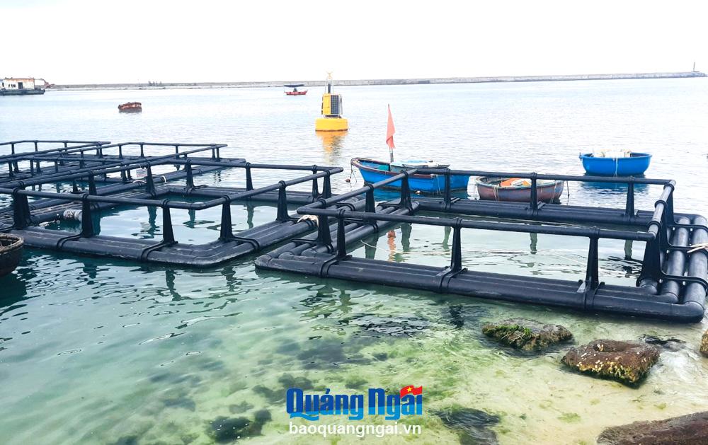 Cơ hội để nuôi trồng thủy sản phát triển